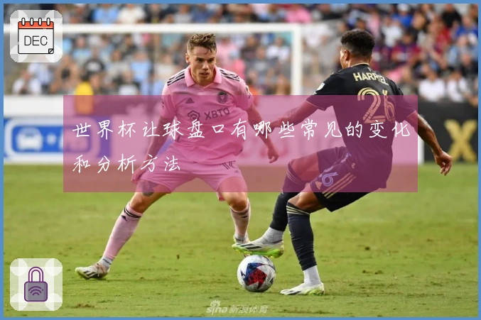 世界杯让球盘口有哪些常见的变化和分析方法