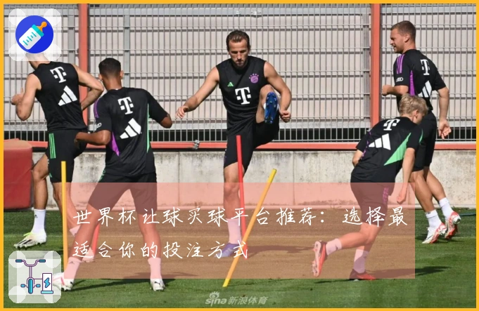 世界杯让球买球平台推荐：选择最适合你的投注方式
