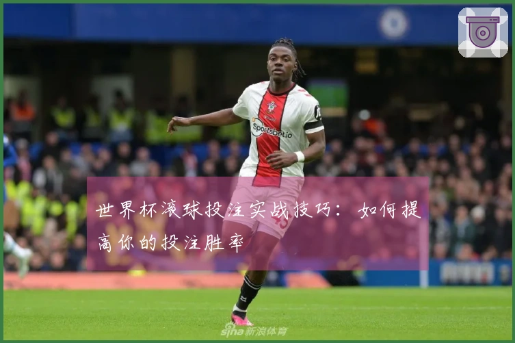 世界杯滚球投注实战技巧：如何提高你的投注胜率