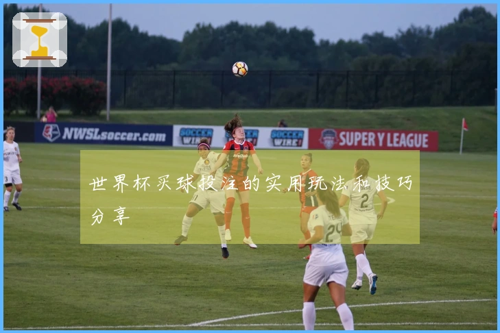 世界杯买球投注的实用玩法和技巧分享