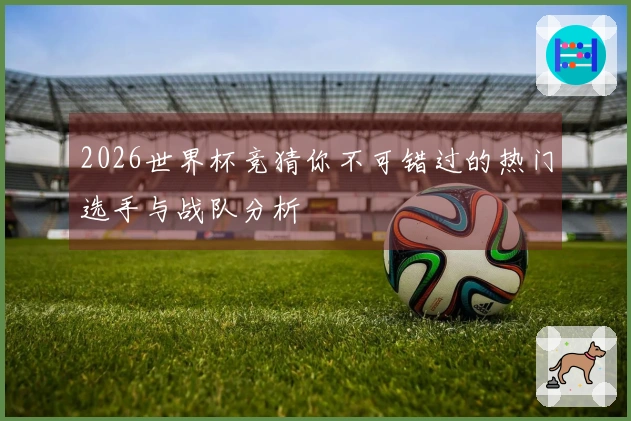 2026世界杯竞猜你不可错过的热门选手与战队分析